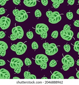 Pattern with stylized arrowroot leaves on a dark purple background.