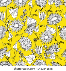 Pattern with summer, autumn wildflowers, sunflowers. Hand draws a liner of plants in different angles. botanical illustration vintage, isolated background. Autumn design for wrapping, wallpaper