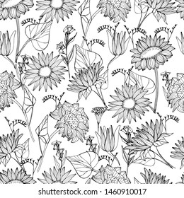 Pattern with summer, autumn wildflowers, sunflowers. Hand drawn liner of plants in different angles. botanical illustration vintage, isolated background. Autumn design for wrapping, wallpaper