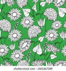 Pattern with summer, autumn wildflowers, sunflowers. Hand draws a liner of plants in different angles. botanical illustration vintage, isolated background. Autumn design for wrapping, wallpaper