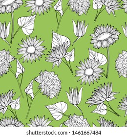 Pattern with summer, autumn wildflowers, sunflowers. Hand draws a liner of plants in different angles. botanical illustration vintage, isolated background. Autumn design for wrapping, wallpaper