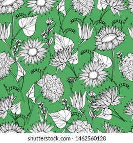 Pattern with summer, autumn wildflowers, sunflowers. Hand draws a liner of plants in different angles. botanical illustration vintage, isolated background. Autumn design for wrapping, wallpaper