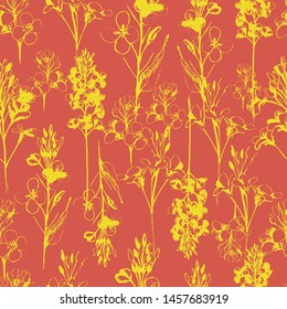 Pattern with summer flowers, canola. Hand draws field, garden plants. botanical illustration vintage. Canola flower with leaves, buds. Design for packaging, wallpaper, textiles.