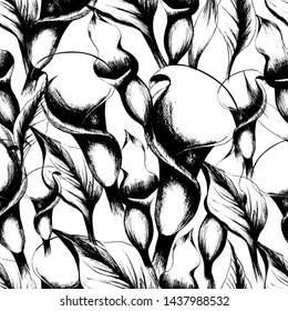 Pattern with summer flowers Kala, garden beautiful plants, hand draws ink. Large kalas of different shapes. Floral background in vintage style. Design for wallpaper, textiles