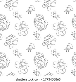 Pattern with summer flowers on transparent background. Vector art, line art. Might be used for covers, wallpapers, room decor, etc.