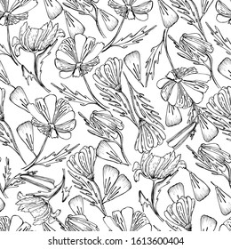 Pattern with summer flowers, primroses, daisies. Ink coloring for children and adults. botanical vintage illustration. Spring flower with leaves, buds on white. For packaging, wallpaper, textiles.