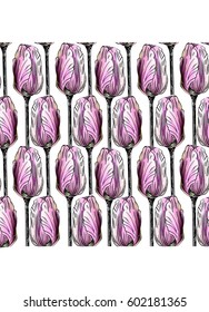 Pattern with summer pink flowers with graphic, Tulips on white background