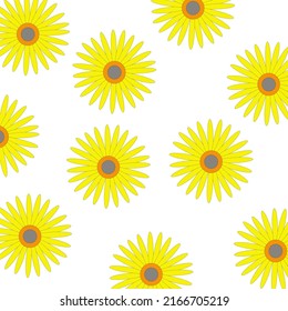 pattern of summer yellow chamomile flowers