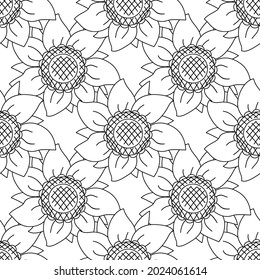 Pattern of sunflower with seeds. Vector outline illustration