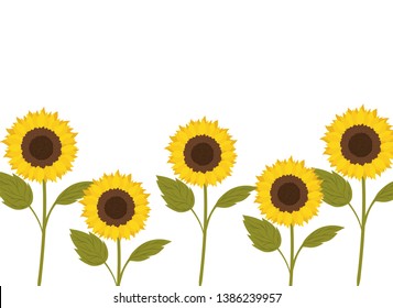 pattern of sunflowers isolated icon