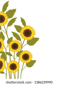 pattern of sunflowers isolated icon