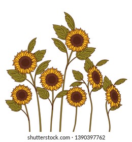 pattern of sunflowers isolated icon
