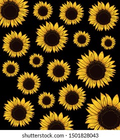 89,991 Sunflower on black background Images, Stock Photos & Vectors ...