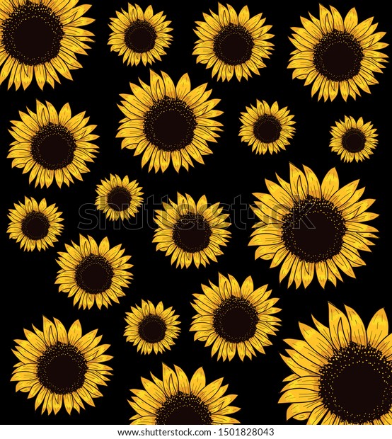 Pattern Sunflowers On Black Background Vector Stock Vector Royalty Free 1501828043