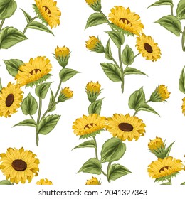 Pattern from sunflowers on a white background.Yellow sunflowers with green leaves in a seamless vector pattern on a white background.