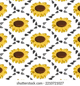 Pattern with sunflowers and seeds.Sunflowers and seeds on a transparent background.