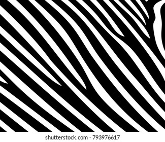 pattern texture tiger zebra white stripe  black jungle safari