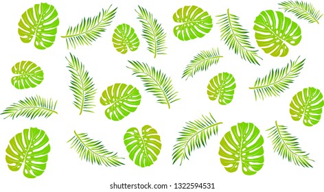Pattern texture of tropical leaves of Monstera and palm trees in bright yellow, green, light green colors.