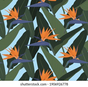 the pattern of their tropical leaves and strelitzia flower