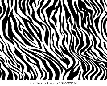 pattern. Tiger zebra texture abstract background. Animal safari skin white black . Vector jungle strip seamless