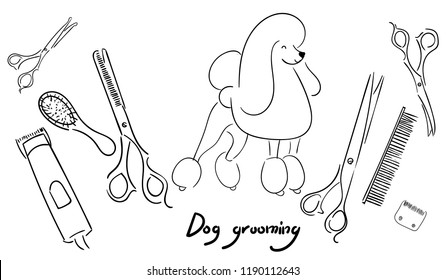 pattern of tools for grooming dogs and a large royal poodle. Scissors, clipper, brushes and comb. Thinning, straight and curved scissors. Illustration of lines and silhouettes.