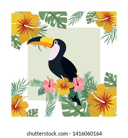pattern of toucan and summer flower