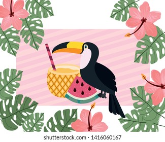 pattern of toucan and summer flower