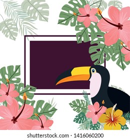 pattern of toucan and summer flower