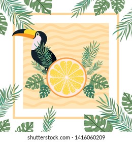 pattern of toucan and summer flower