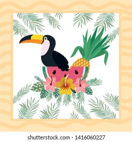 pattern of toucan and summer flower
