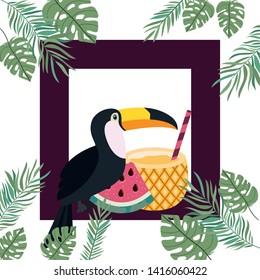 pattern of toucan and summer flower