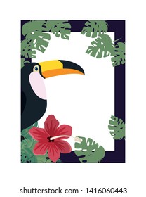 pattern of toucan and summer flower