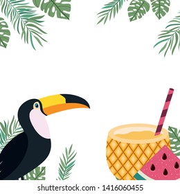 pattern of toucan and summer flower