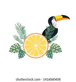 pattern of toucan and summer flower