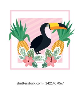 pattern of toucan and summer flower