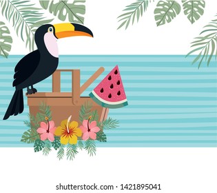 pattern of toucan and summer flower