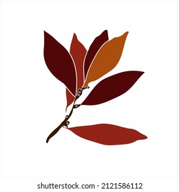 Pattern Tree laurel.Image on white and colored background.