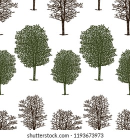 Pattern of trees in summer and in winter