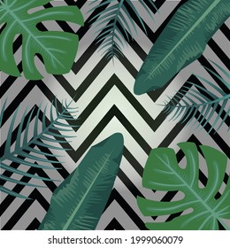pattern tropic chevron texture summer spring background exotic leaf leaves tropical