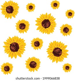 pattern tropic flower floral texture summer spring background exotic yellow sunflower tropical