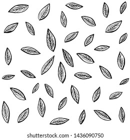 Pattern of tropical leaves isolated on white background. Floral Design elements. wedding invitations, greeting cards, blogs, posters. vector - Illustration