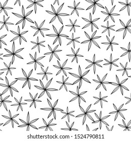 Pattern of tropical leaves isolated on white background. Floral Design elements. wedding invitations, greeting cards, blogs, posters. vector - Illustration