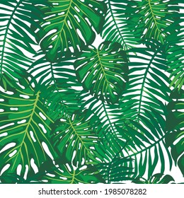 Pattern with tropical leaves palm trees and monstera