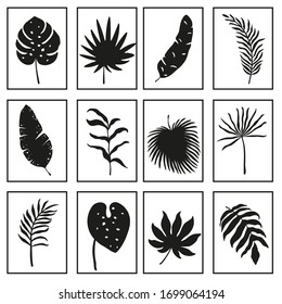 Patrón con hojas tropicales en cuadrado. Ilustración en blanco y negro