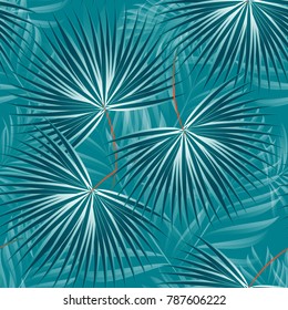 Pattern of tropical palm, leaves of the jungle. Vector floral pattern.