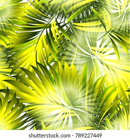Pattern of tropical palm, leaves of the jungle. Vector floral pattern.