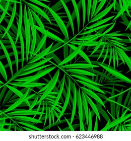 Pattern from a tropical palm tree on a black background
