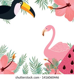 pattern of tucan and flemish with summer flowers