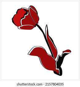 Patrón de tulipanes.Vector.Imagen gráfica en un fondo blanco y de color.