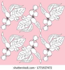
Pattern from the unbranched branch of a blossoming apple tree. Freehand drawing is suitable for packaging perfumes or food. Made in vector.